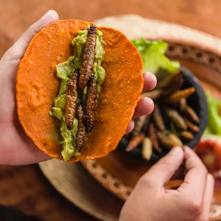 Un taco con gusano tatemado en La Gruta Teotihuacán, de los mejores lugares de comida típica mexicana en CDMX.