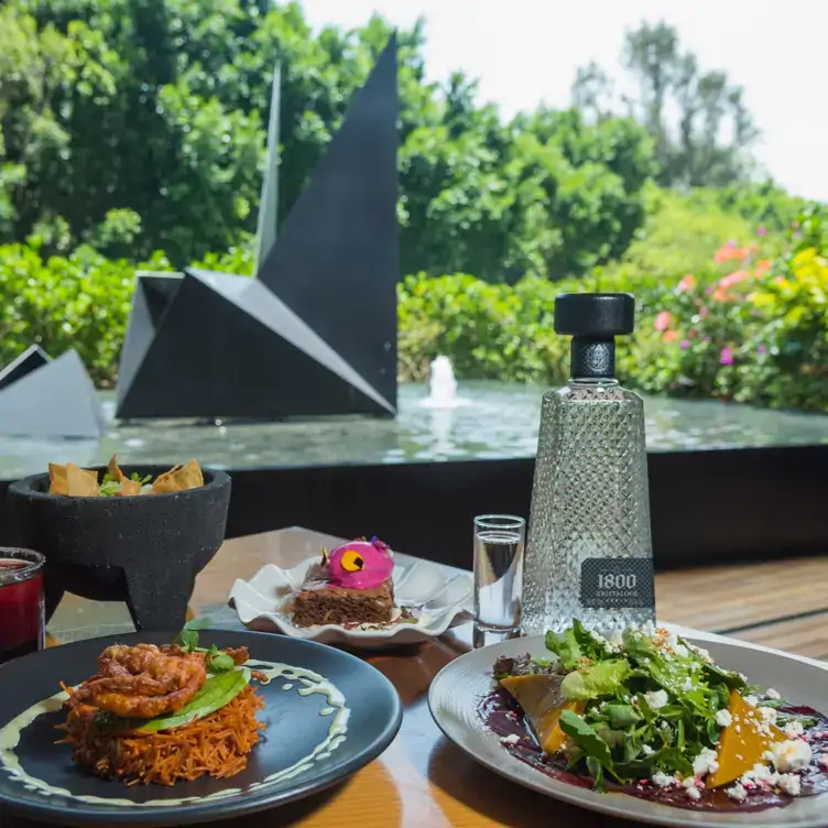 El espacio para cenar al aire libre con comida en una mesa en Chapulín en la CDMX.