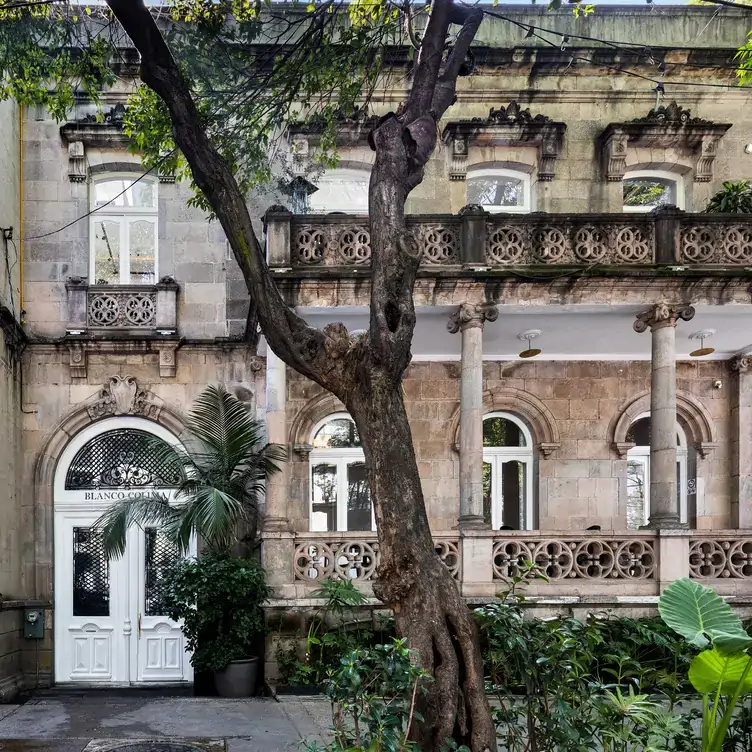 El edificio de Blanco Colima, un restaurante que ofrece uno de los mejores pan de muertos en la CDMX.