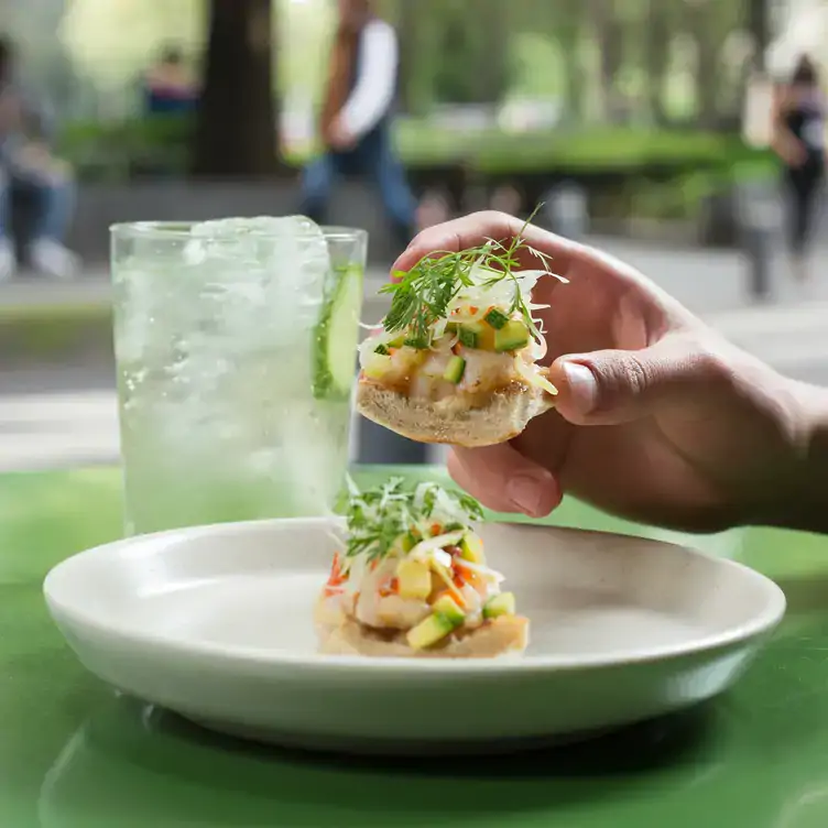 Un comensal disfruta de una comida al aire libre en Pigeon, uno de los mejores restaurantes con terrazas en la CDMX.