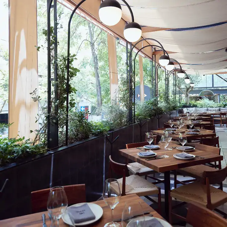 La terraza luminosa de Pamplo del Mediterráneo, uno de los mejores restaurantes para comer al aire libre en Guadalajara.