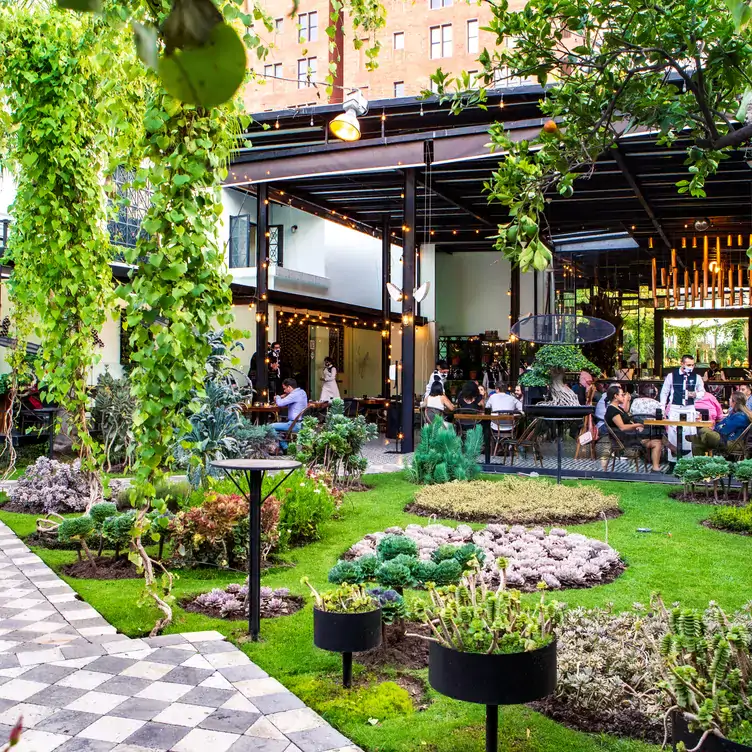 El espacio de comedor al aire libre en el jardín lleno de vegetación de BRUNA Restaurante, uno de los mejores restaurantes con terrazas en Guadalajara.