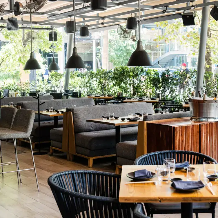 El espacio de comedor al aire libre en Señora Tanaka, uno de los mejores restaurantes con terrazas en Monterrey.