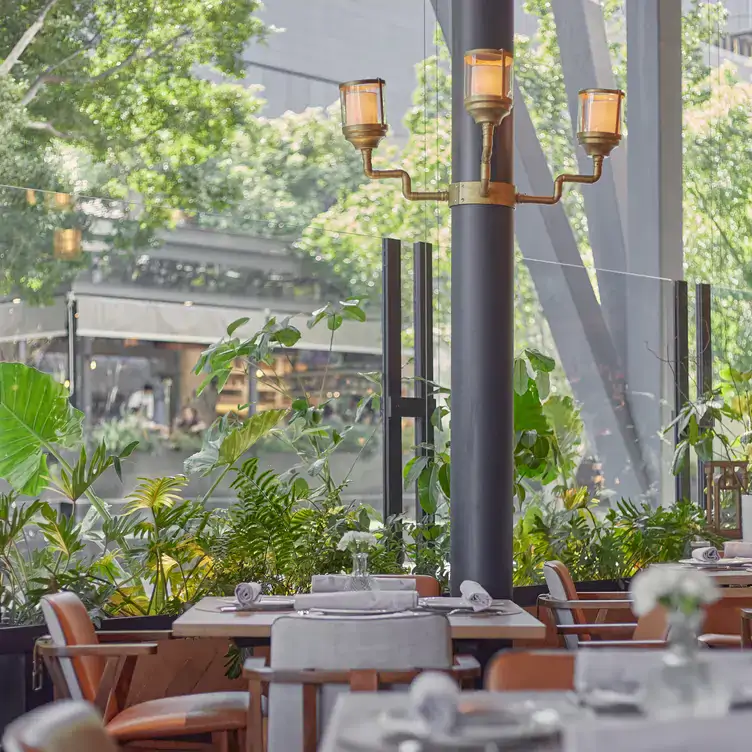 La terraza al aire libre en Sylvestre, uno de los mejores restaurantes con terrazas en Guadalajara.