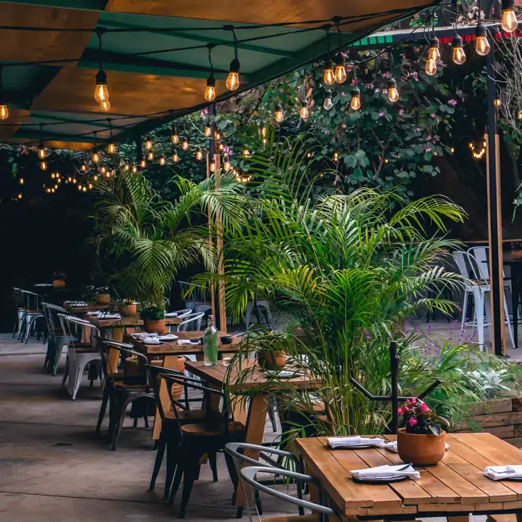 El amplio jardín en Parilla Paraíso, uno de los mejores restaurantes para familias en la CDMX