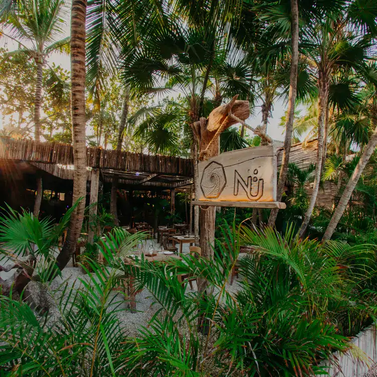 La jungla y selva maya que rodea NÜ, uno de los mejores restaurantes en la playa de México.