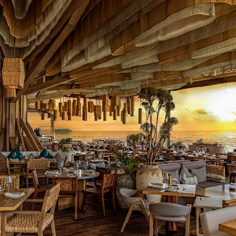 Una impresionante arquitectura con un árbol de leña y vistas al mar Caribe en Mesas y palmeras con vistas frente al Caribe en Ilios Cancún, uno de los mejores restaurantes en la playa de México.