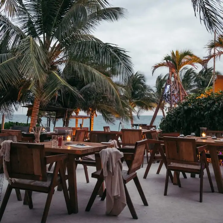 Mesas y palmeras con vistas frente al Caribe en Mia Tulum, uno de los mejores restaurantes en la playa de México.