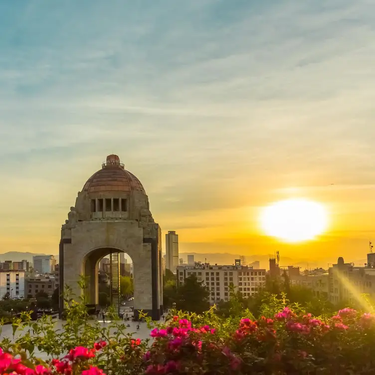 La vista en La Terraza Cha Cha Cha, uno de los mejores restaurantes con vistas en CDMX.