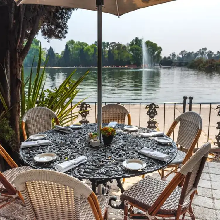 La inmejorable vista del Lago de Chapultepec desde el Bistro Chapultepec.