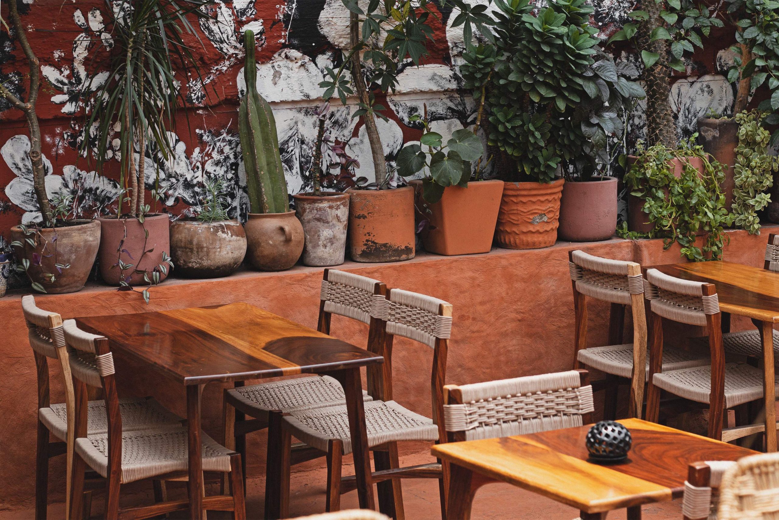 Terraza del restaurante Alelí Rooftop, en la Ciudad de México, con mobiliario de madera y macetas con plantas.