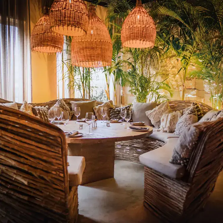 Una sala estilo lounge con decoración tropical en Chambao Polanco, uno de los mejores restaurantes para la cena de navidad en la CDMX.