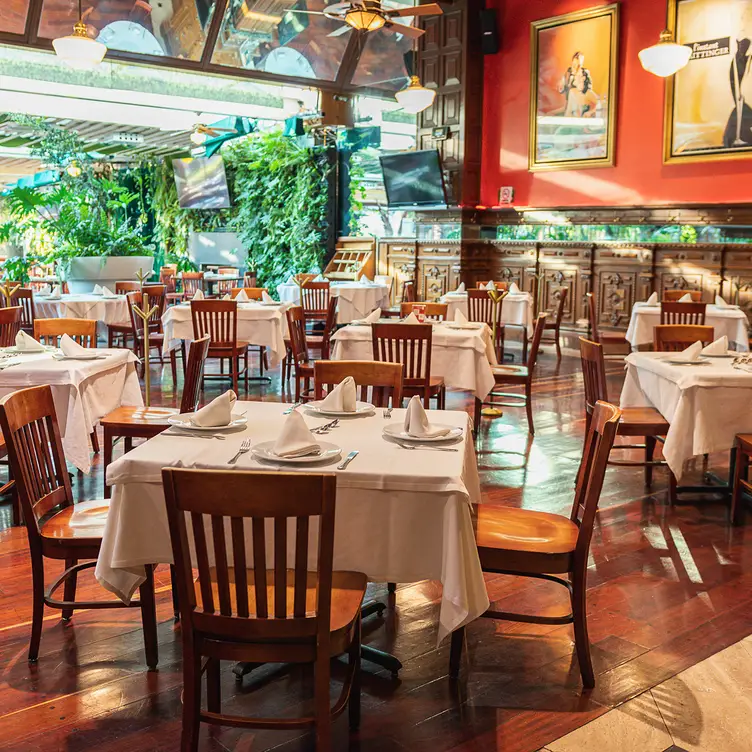 Interior de Los Canarios, uno de los mejores restaurantes para desayunar en CDMX, donde se ven diversas mesas y una pared recubierta de plantas.