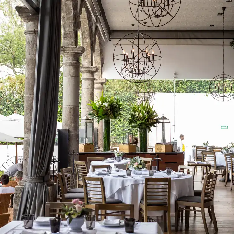 Vista a la terraza de Bistro 83 – San Angel, uno de los mejores restaurantes para la cena de navidad en la CDMX.