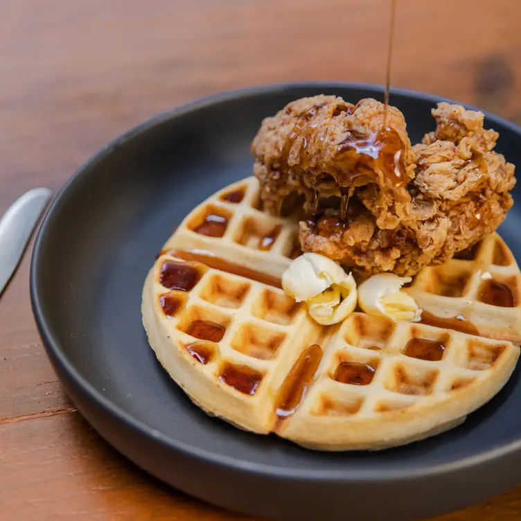 Un plato de chicken waffles con mantequilla bañado en miel de maple dentro de Petit Roquefor, uno de los mejores lugares para desayunar en CDMX.