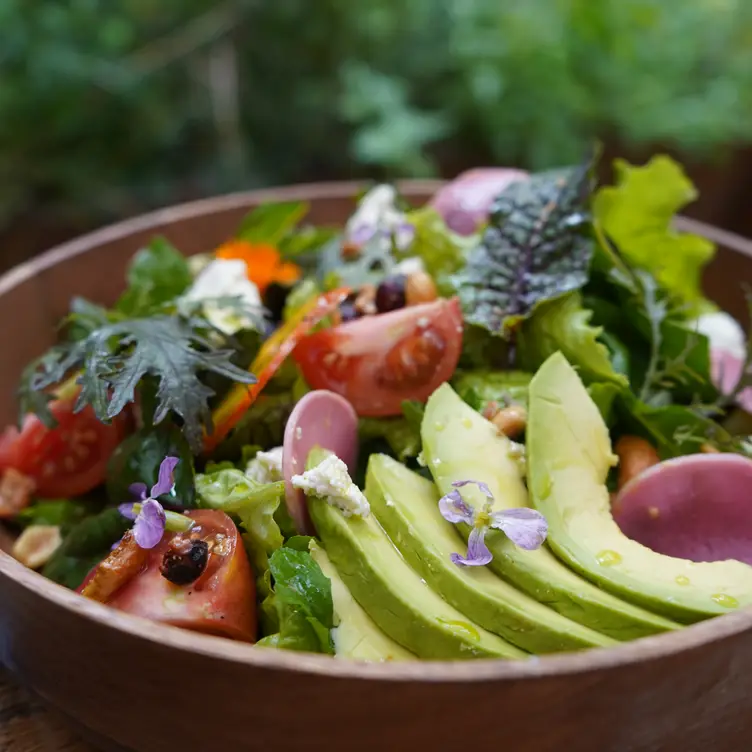 Diversas verduras frescas en un plato de Espíritu Sano/Sitopia.