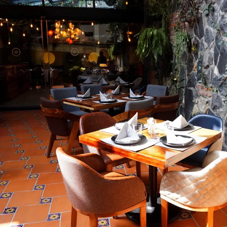 Exterior de Bencomo, uno de los mejores restaurantes en CDMX, donde se ven un par de mesas con platos, servilletas y menús y una pared de piedra de la que cuelgan diversas plantas.