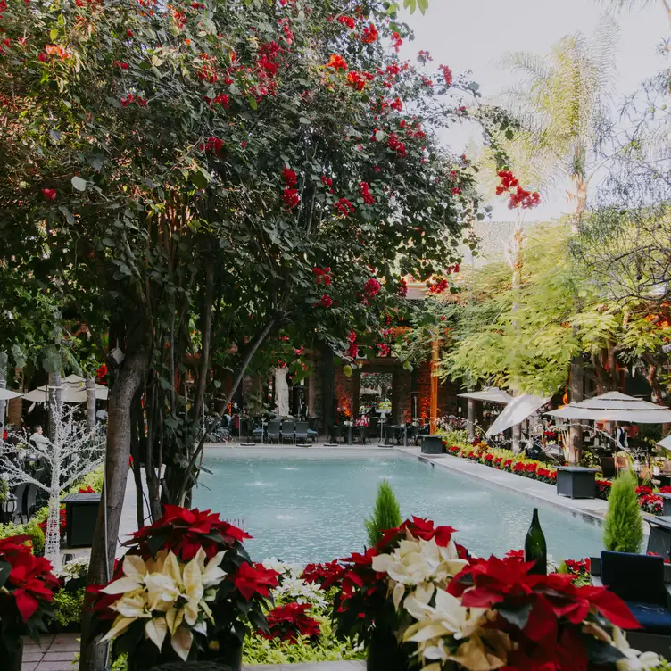 Gracias a una cuidadosa ornamentación de plantas y flores, la fuente central posiciona a Hacienda La Laborcilla como uno de los mejores restaurantes románticos en Querétaro