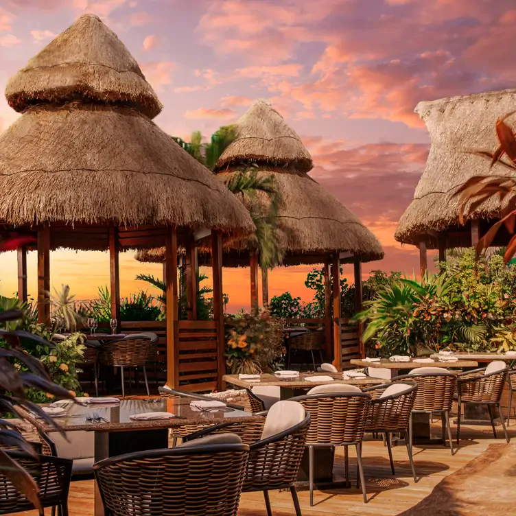 Postales panorámicas en Fred’s, uno de los mejores restaurantes en Cancún