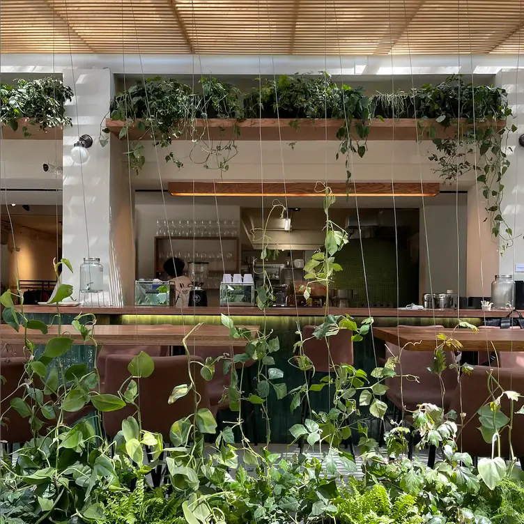 Un diseño de interiores que combina modernidad y tranquilidad es lo que distingue a BAM BAM PIZZA, uno de los mejores restaurantes de pizza en CDMX.