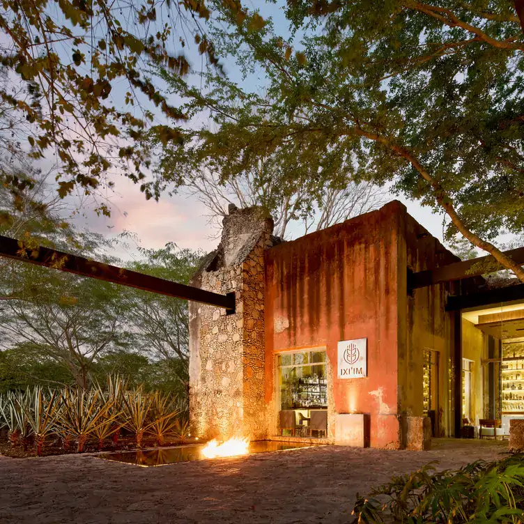 Vista del exterior de Ixi'im, en una antigua hacienda colonial, con árboles y siembra de henequén.