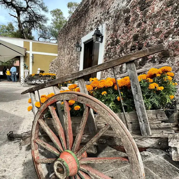 Entrada a la Hacienda El Salitre, uno de los mejores brunch en Querétaro, con una atmósfera colonial