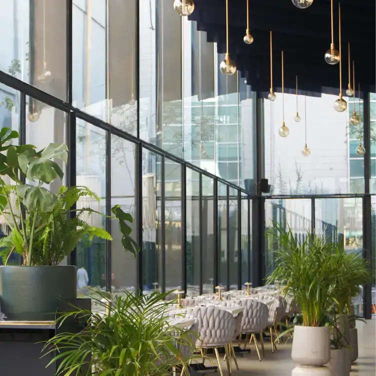 Una vista del amplio e iluminado interior de Embajadora, uno de los mejores restaurantes para desayunar en Tijuana.