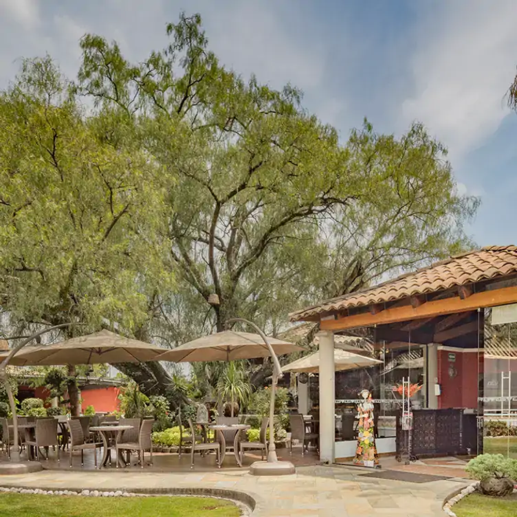 Vista a la terraza con jardín en Ciudad Sagrada, uno de los mejores restaurantes para desayunar en Puebla.