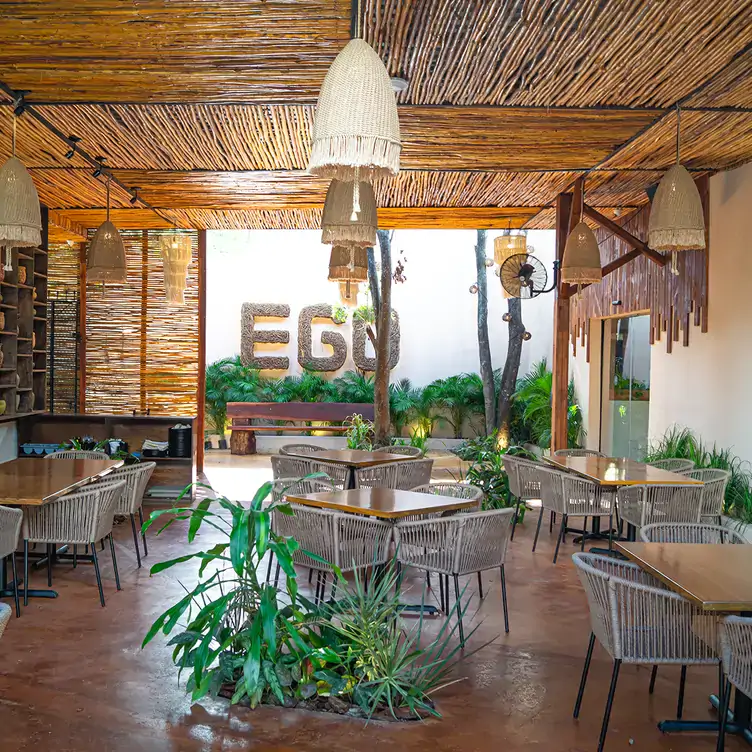 Vista al interior de diseño tropical y moderno en Ego Céntrico, uno de los mejores restaurantes para el brunch en Cancún.