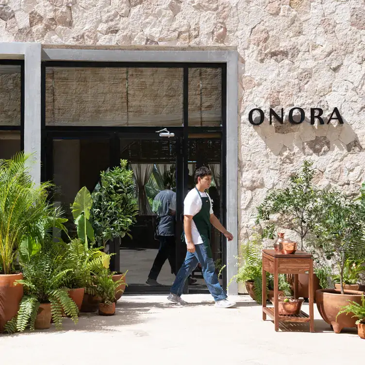 Vista al exterior del restaurante Onora, uno de los mejores restaurantes para desayunar en Cancún.