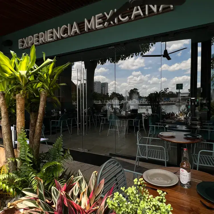 Fachada de Jumiles Experiencia Mexicana, con plantas al frente y fachada de cristal con tonos metálicos.