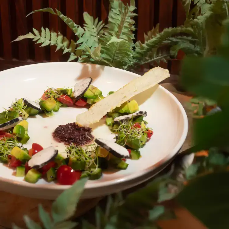 La ensalada de la casa con ingredientes frescos que resaltan su sabor en Don Gallo Cuisine, uno de los mejores brunch en Querétaro