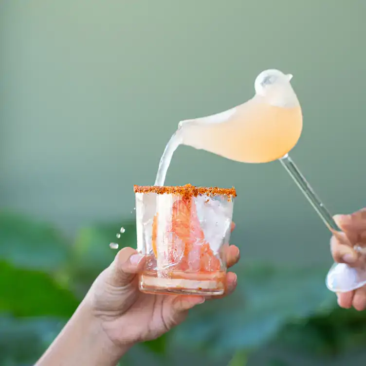 Una paloma servida con tequila, toronja y limón en Onora, uno de los mejores restaurantes para desayunar en Cancún.