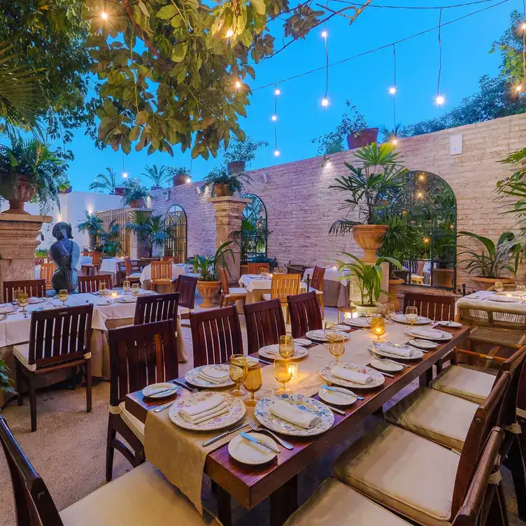 Vista de la terraza de Café des Artistes - Puerto Vallarta, uno de los mejores restaurantes románticos que hay en Puerto Vallarta.