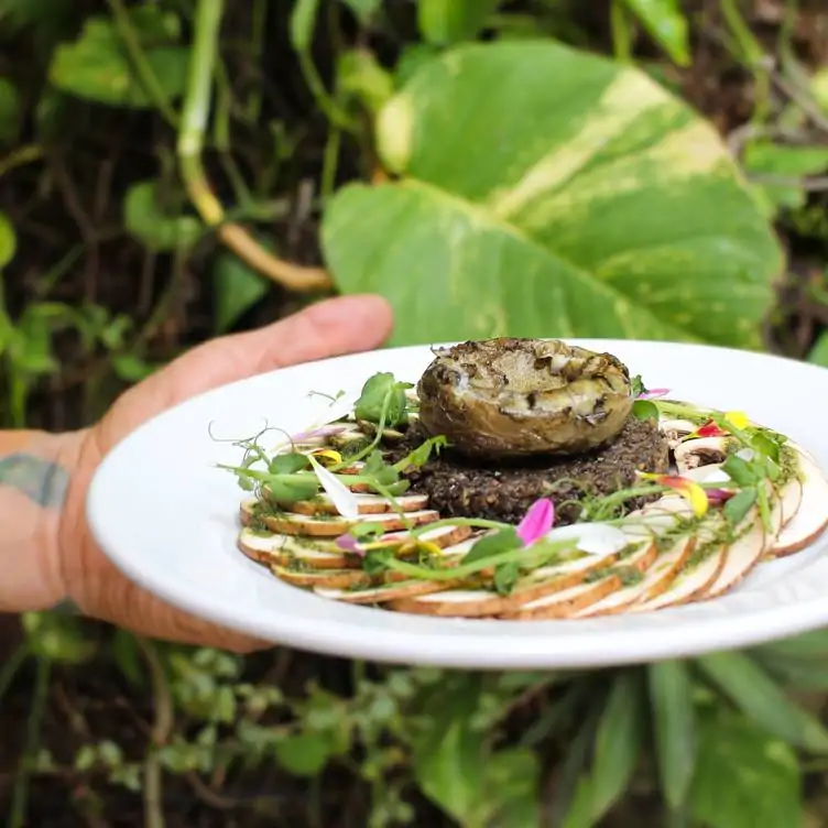 Una persona sosteniendo un platillo junto a la vegetación en Ocean Grill Vallarta, uno de los mejores restaurantes a la orilla del mar en Puerto Vallarta.