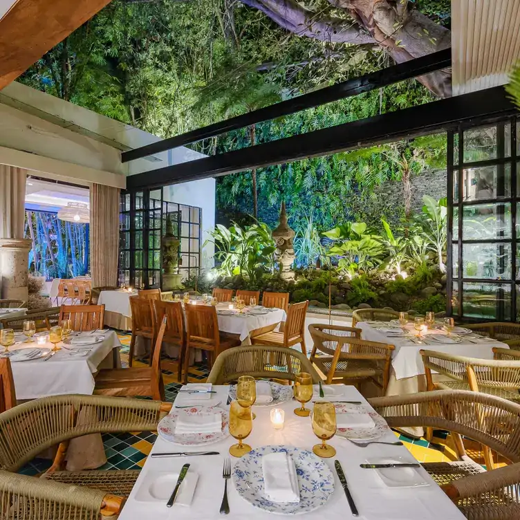 Vista interior del Café des Artistes - Puerto Vallarta, con mobiliario elegante de madera y rodeado por completo de vegetación.