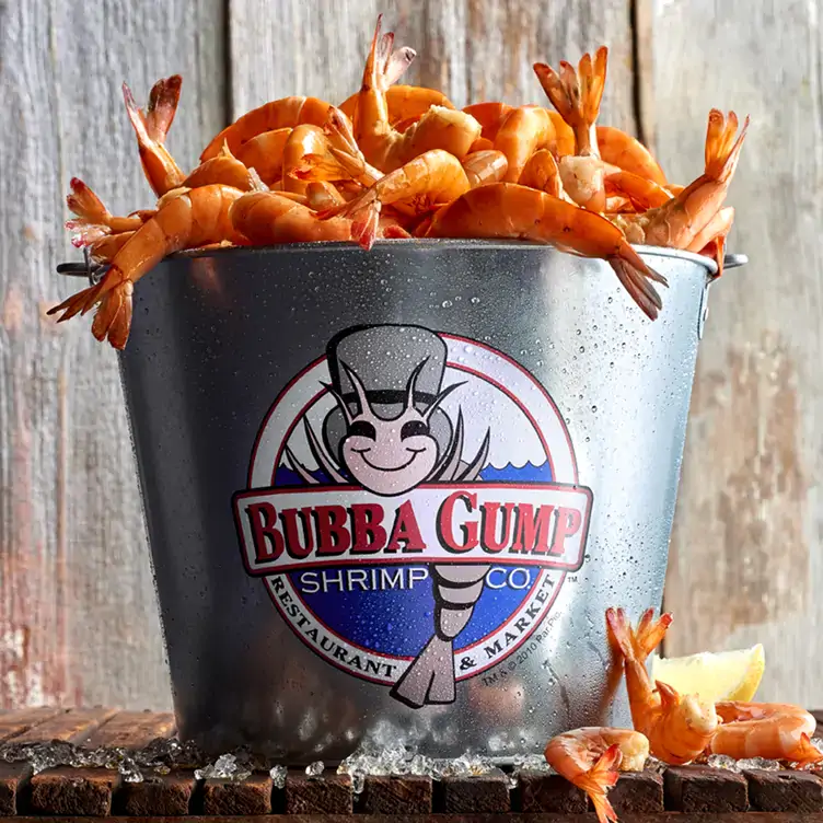 bubba-gump-shrimp-cancun1