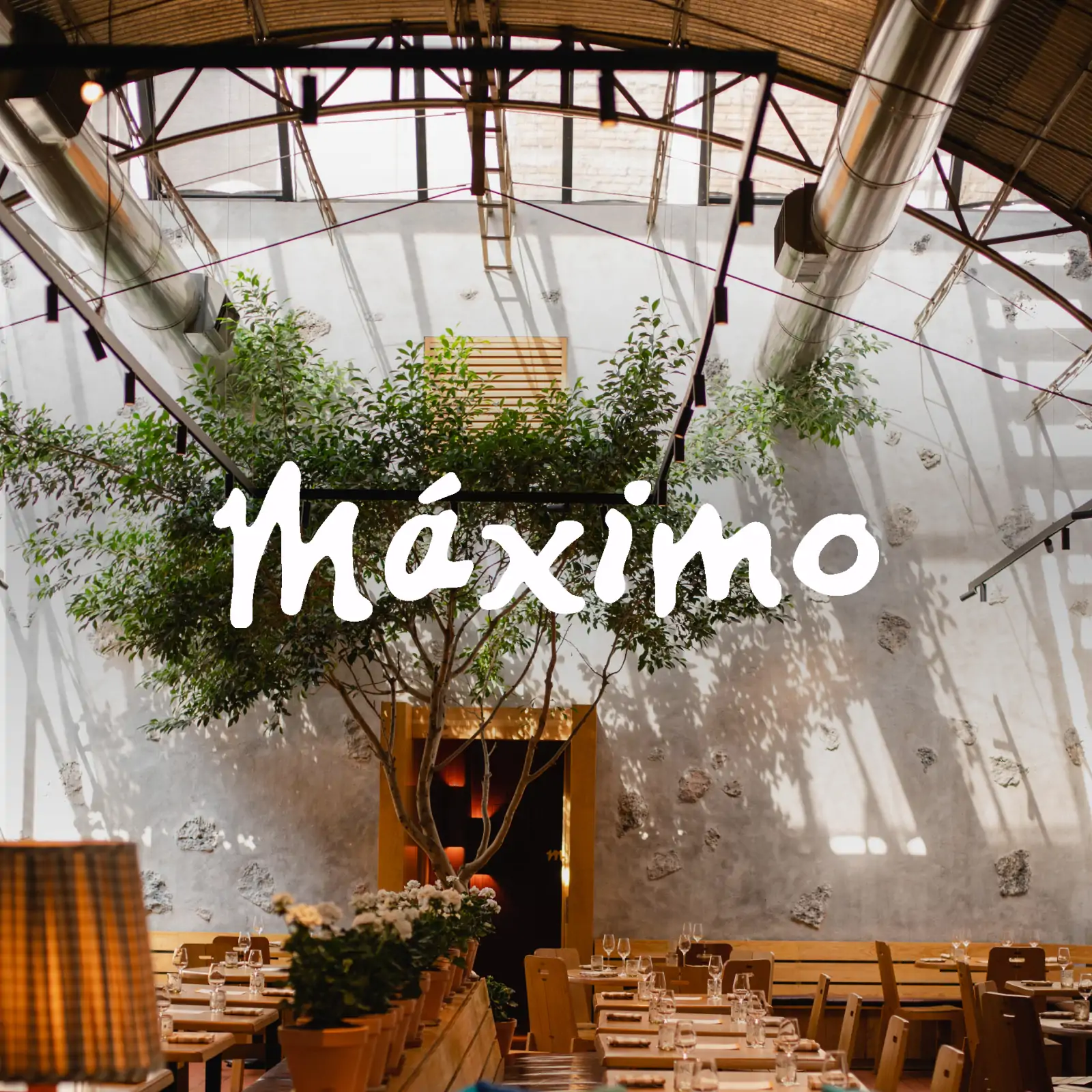 maximo_mx-4x